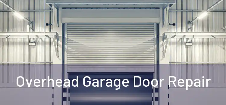  Overhead Garage Door Repair 